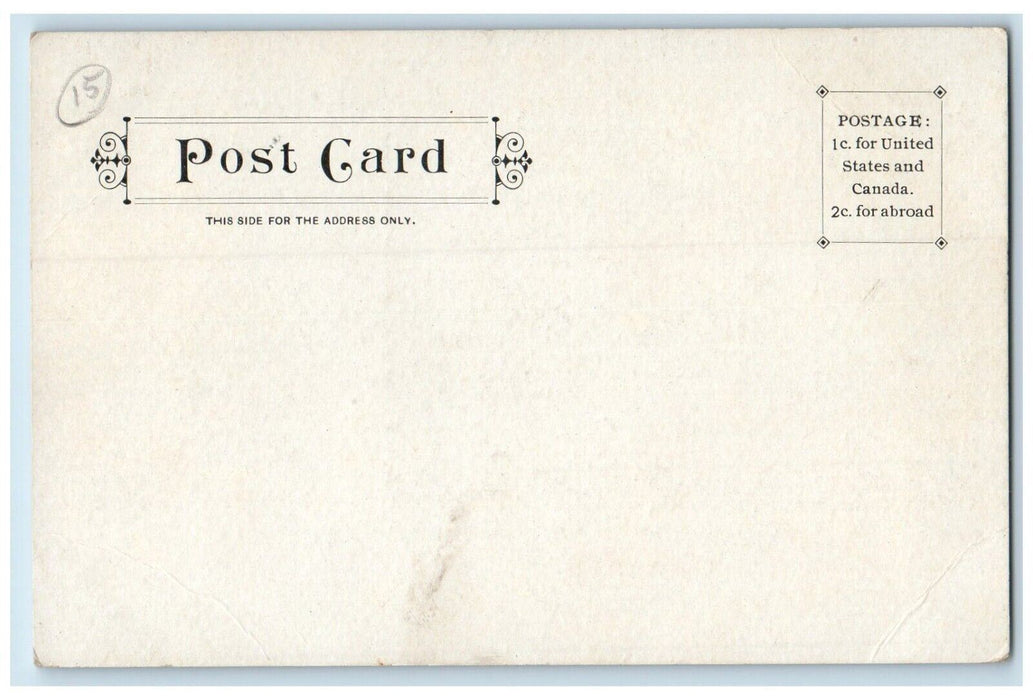 c1905 View Of Pine Lodge Angola New York NY Unposted Antique Postcard