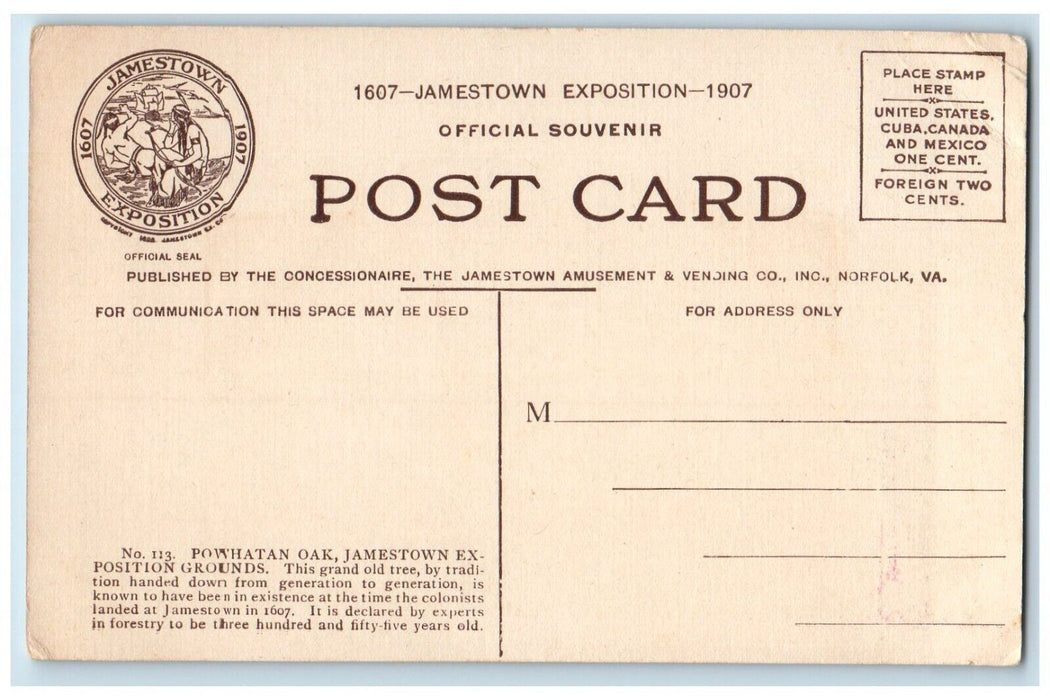 1907 Powhatan Oak Jamestown Exposition Grounds Old Tree Norfolk VA Postcard