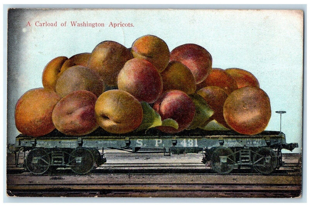 1909 Exaggerated Washington Apricots Train Palouse Washington PNC Postcard