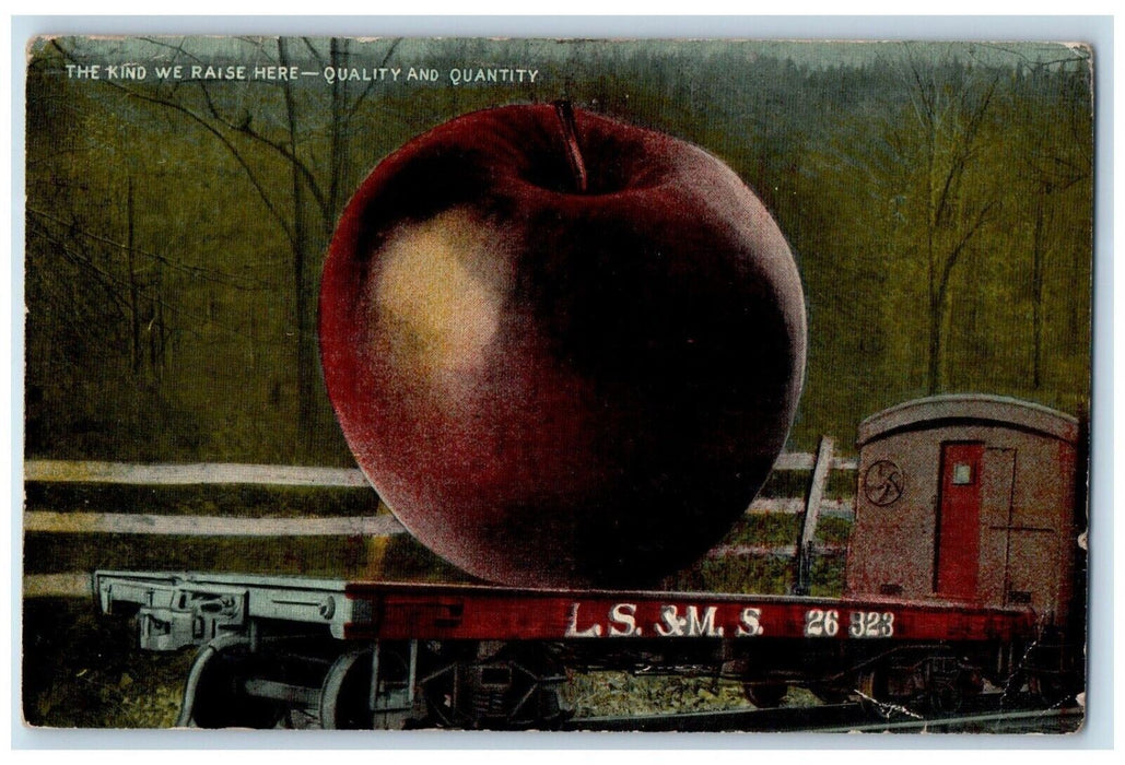 1915 Kind We Raise Here Exaggerated Giant Big Apple Train Salem Indiana Postcard