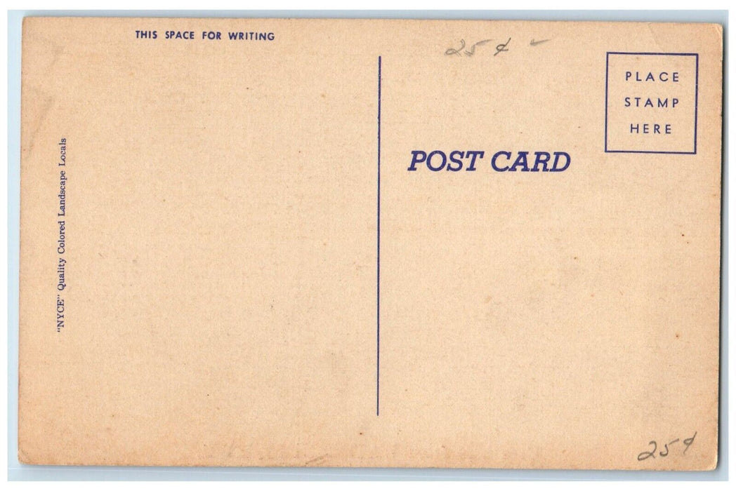 c1910's Greetings From Watersmeet Michigan MI, Dirt Road River View Postcard