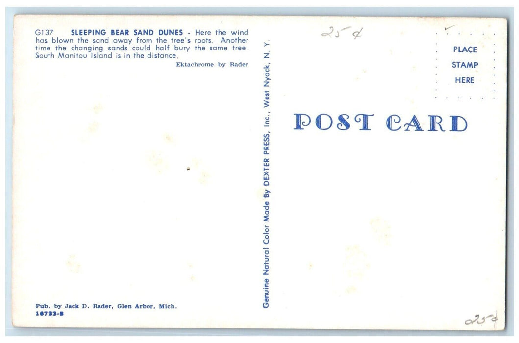Sleeping Bear Sand Dunes South Manitou Island Michigan MI Vintage Postcard