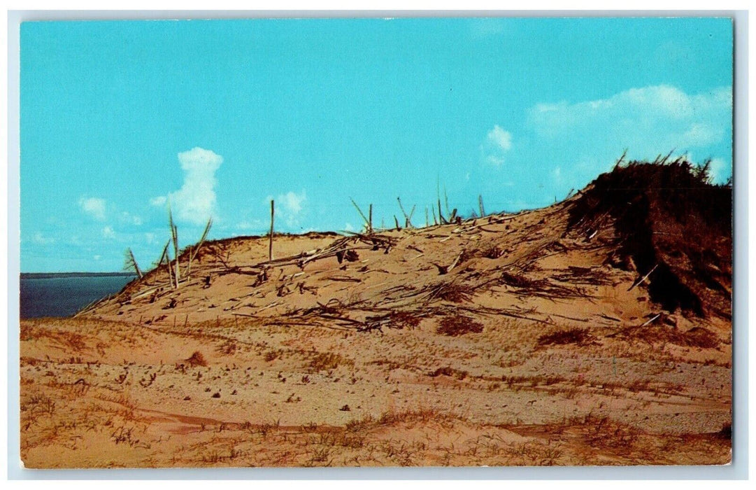 c1960's Great Sleeping Bear Glen Haven Michigan MI Unposted Vintage Postcard