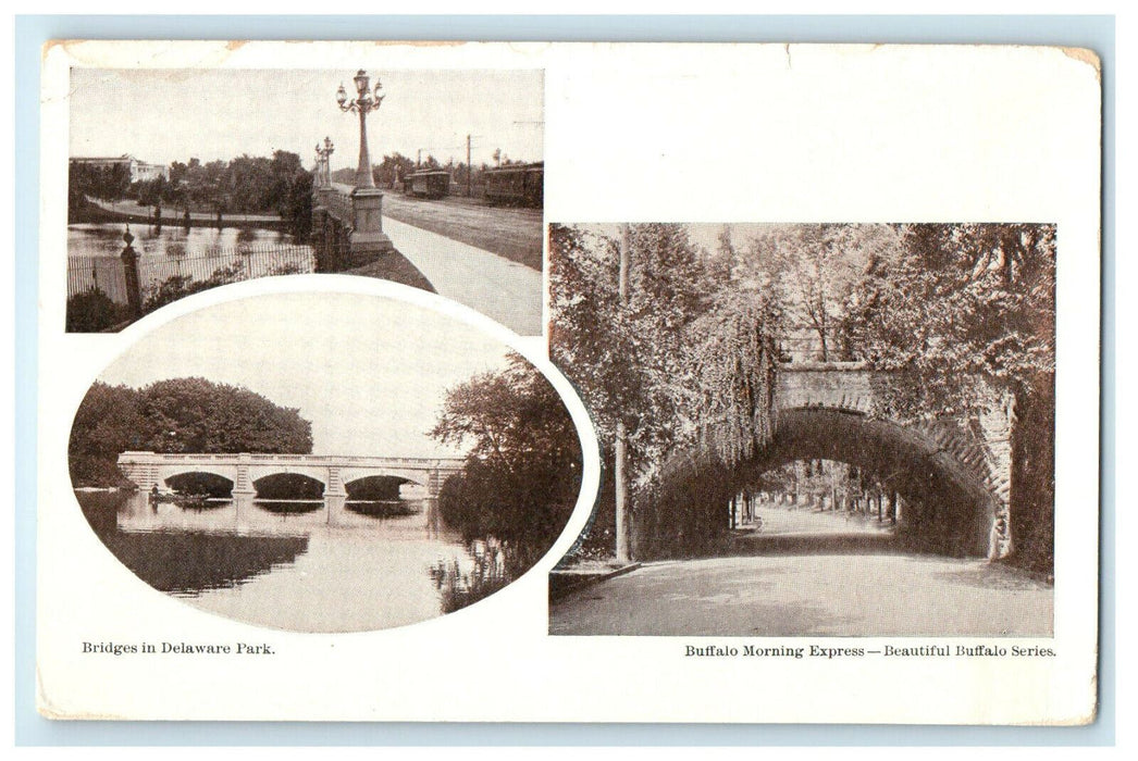 c1905 Bridges in Delaware Park, Buffalo Morning Express Buffalo NY Postcard