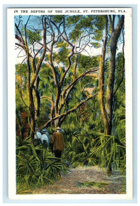 c1920's The Depths Of The Jungle St. Petersburg Florida FL Postcard