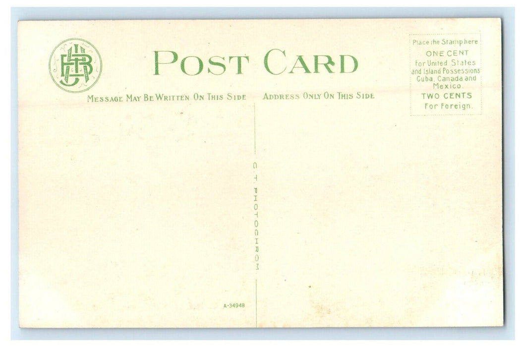 New Monument Street Bridge By Night Moon Harrisburg Pennsylvania PA Postcard