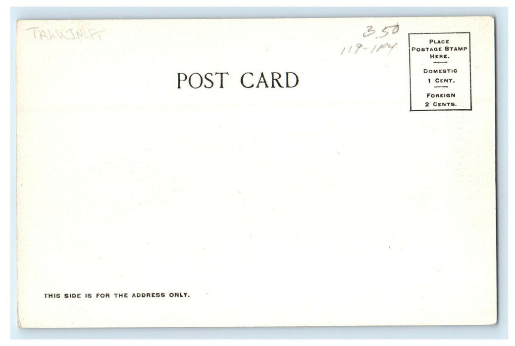 c1905 Iceberg Taku Inlet Alaska AK Unposted Antique Winter & Pond Postcard