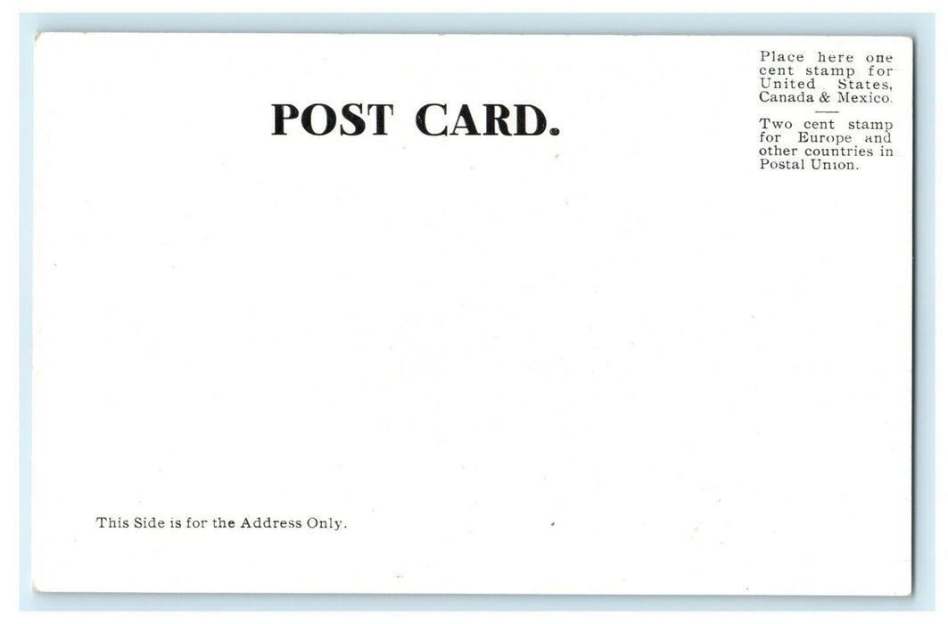 1905 Statue in Public Schools, Albany New York NY Unposted Postcard