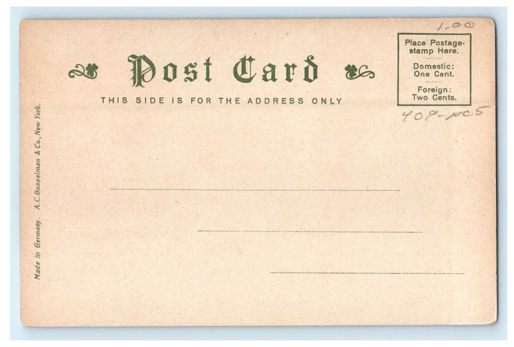 c1905 View of Johnston Gate, Cambridge Massachusetts MA Unposted Postcard
