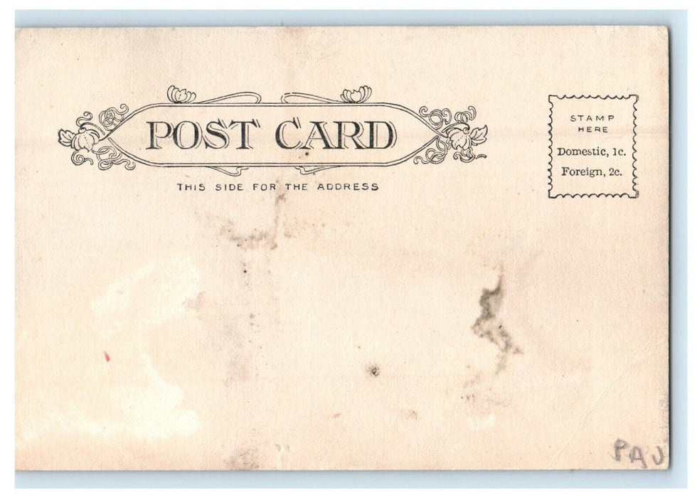 c1905 View Of Center Street Pottsville Pennsylvania PA Antique Postcard