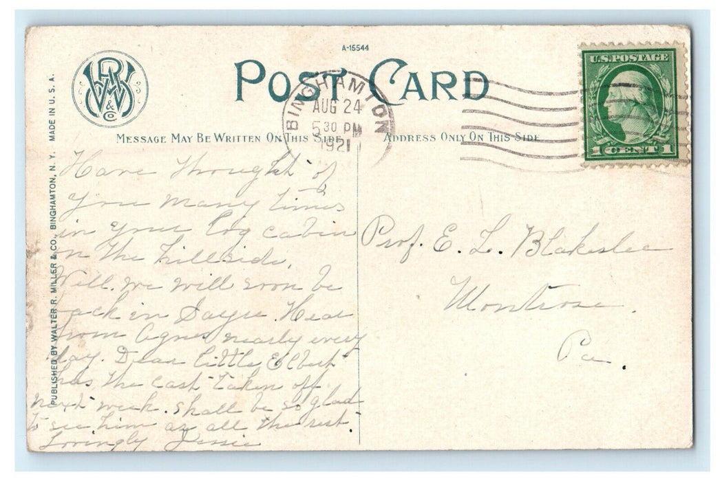 1921 Trinity Memorial Church Binghamton New York NY Posted Postcard