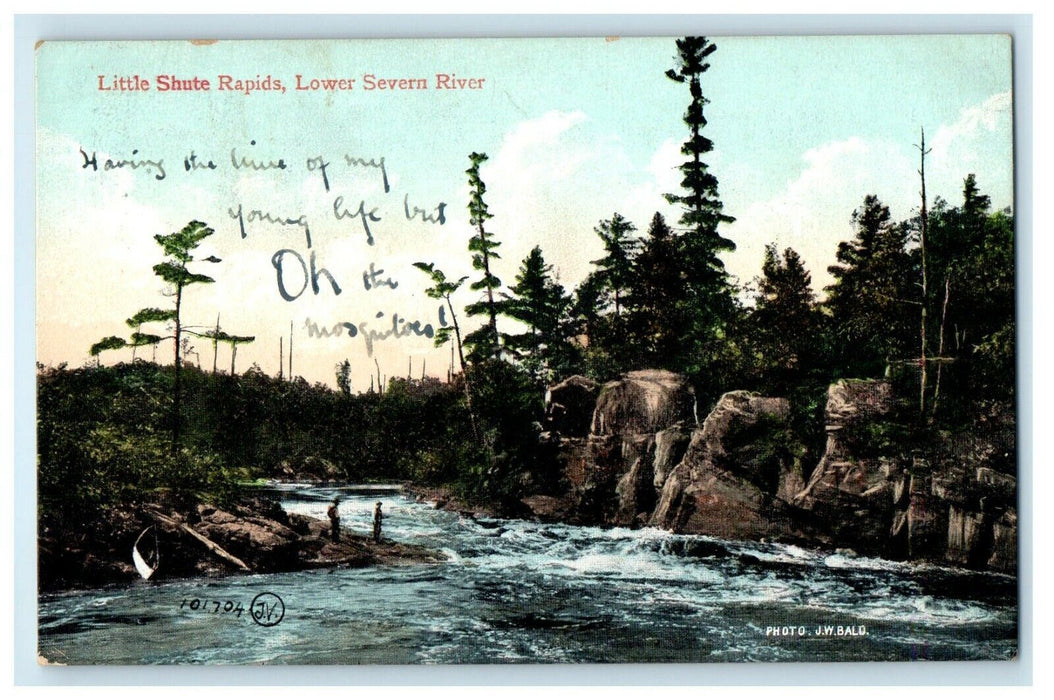 c1910's Little Shute Rapids Lower Severn River Ontario Canada Antique Postcard