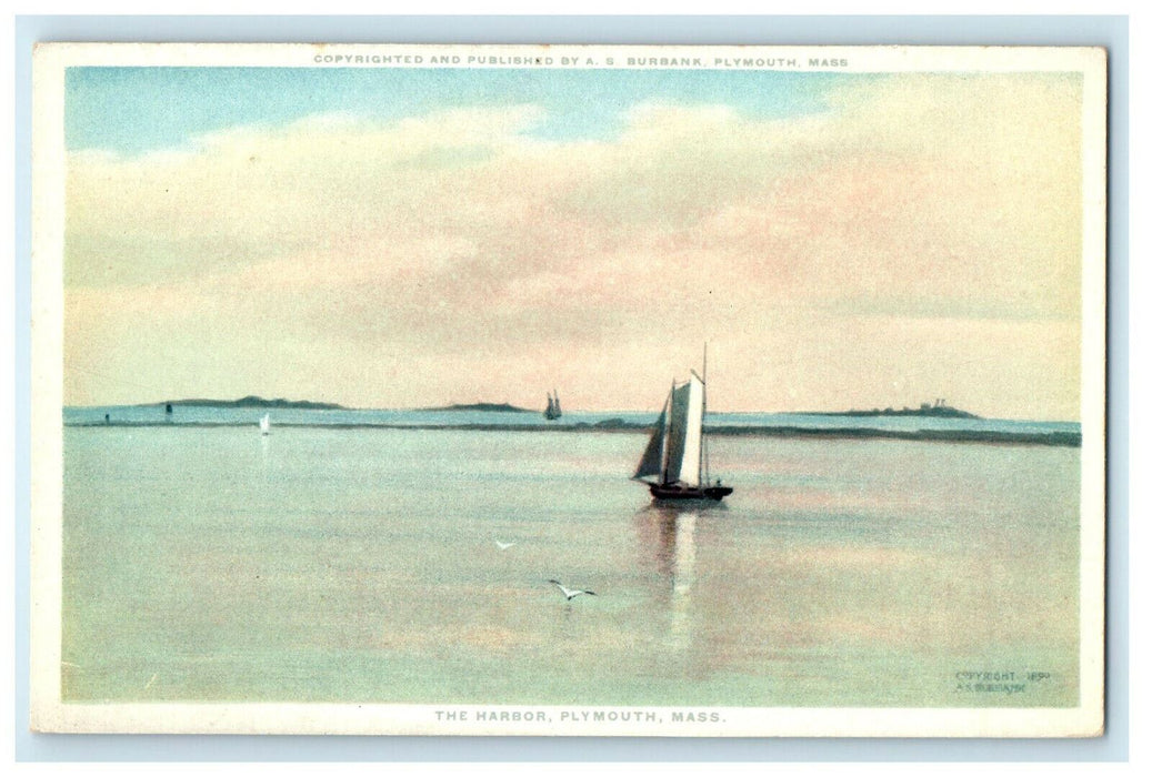c1910s Sailboat, The Harbor Plymouth Massachusetts MA Phostint Unposted Postcard