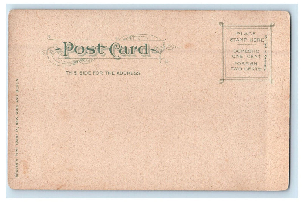 c1905 Big Tree View, The Cloisters Brother House Ephrata PA Unposted Postcard