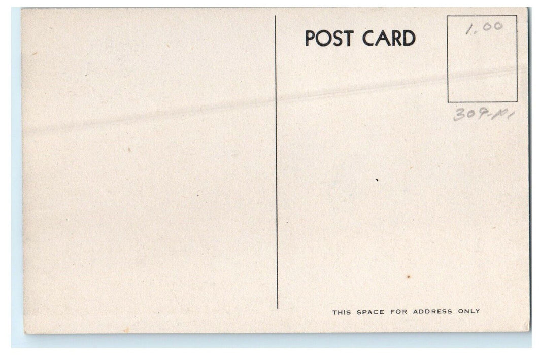 c1910's George Howe Davenport Swimming Pool Wellesley College MA Postcard