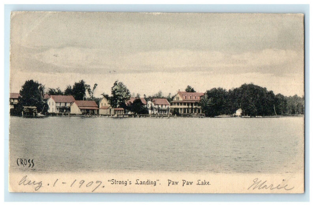1907 Strongs Landing Paw Paw Lake Michigan MI Posted Antique Postcard