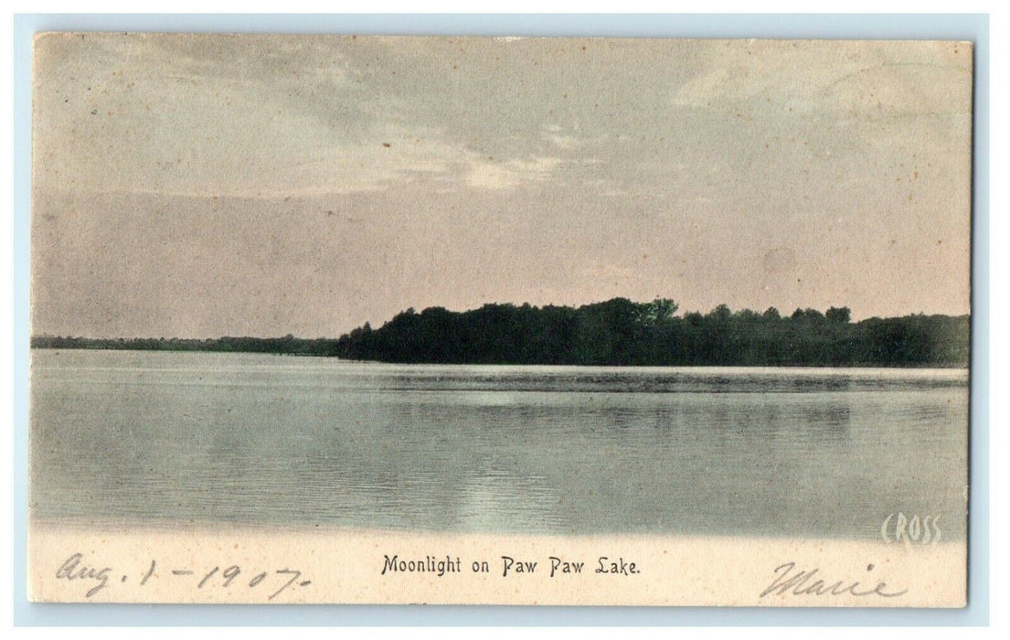 1907 View Of Moonlight On Paw Paw Lake Michigan MI Antique Postcard