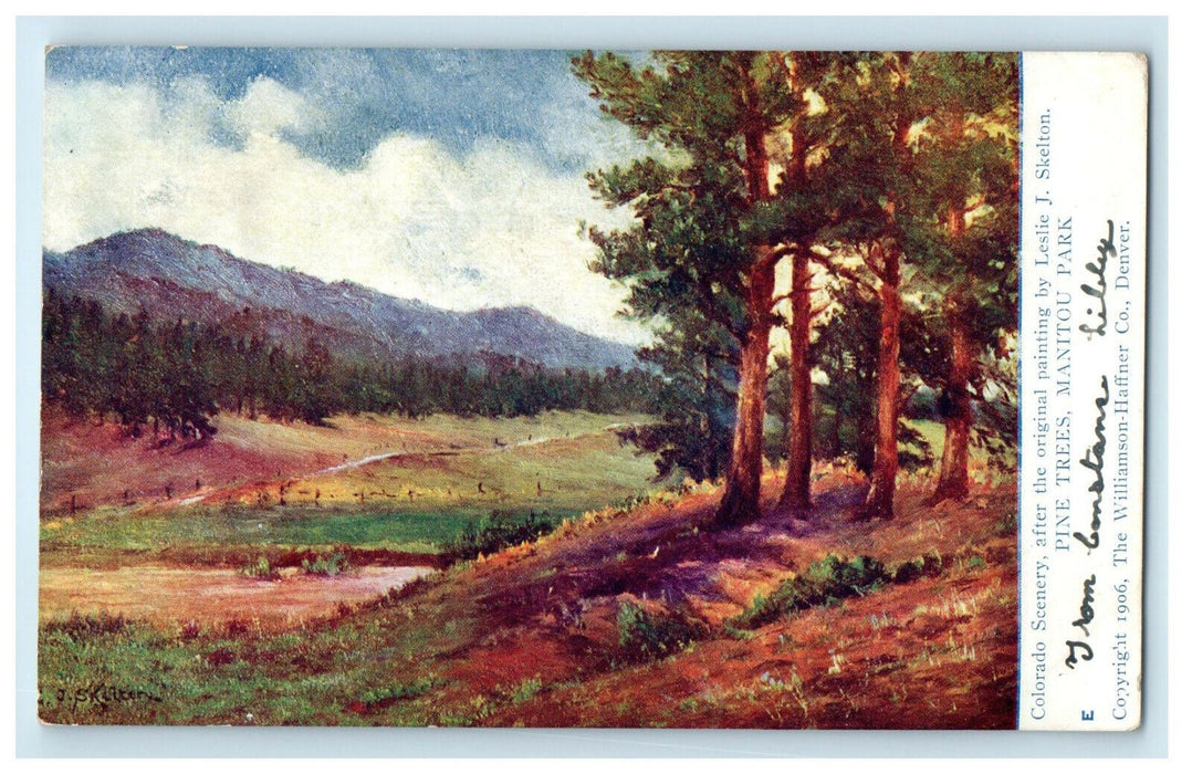 1907 Colorado Scene Pine Trees Manitou Park Leslie J Skelton Painting Postcard