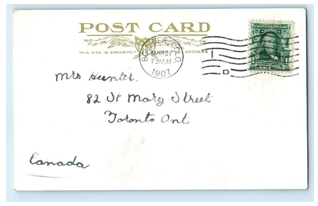 1907 Colorado Scene Pine Trees Manitou Park Leslie J Skelton Painting Postcard
