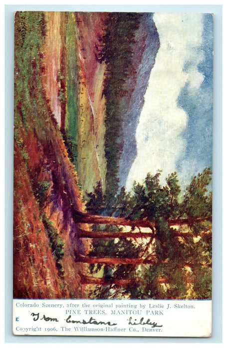 1907 Colorado Scene Pine Trees Manitou Park Leslie J Skelton Painting Postcard