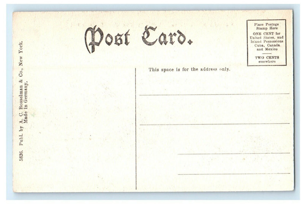 c1910's Colonial Hotel Strongs Landing Paw Paw Lake Michigan MI Antique Postcard