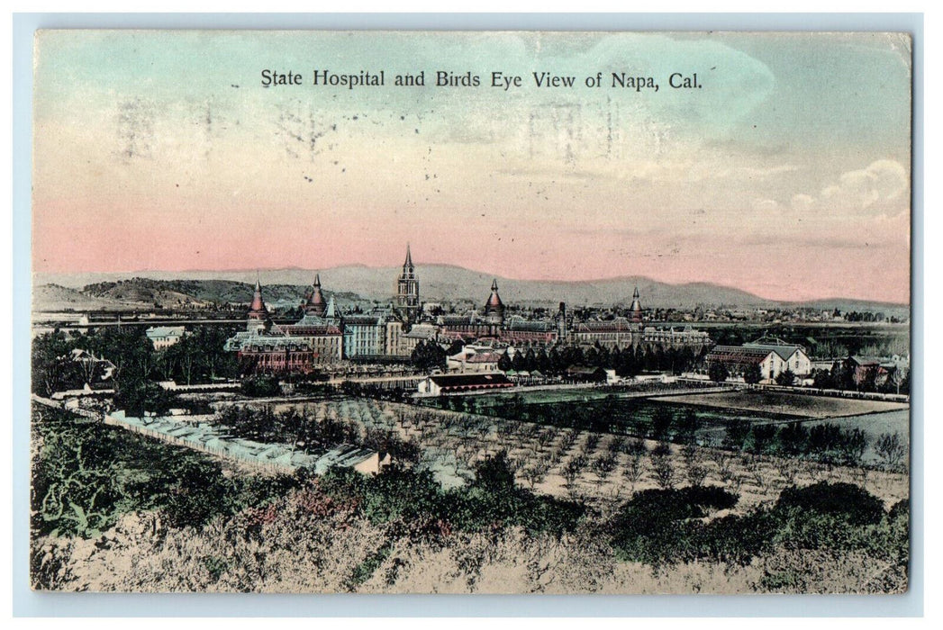 1909 State Hospital and Birds Eye View of Napa CA Posted Postcard