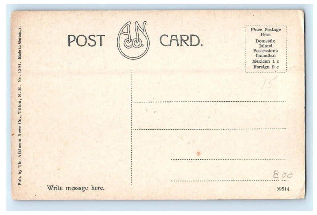 c1910's White Mountains NH, Entrance To Crawford Notch Railroad Train Postcard