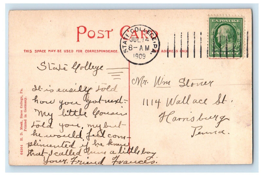 1909 Bird's Eye View Of Nittany Mountain The Pennsylvania State College Postcard