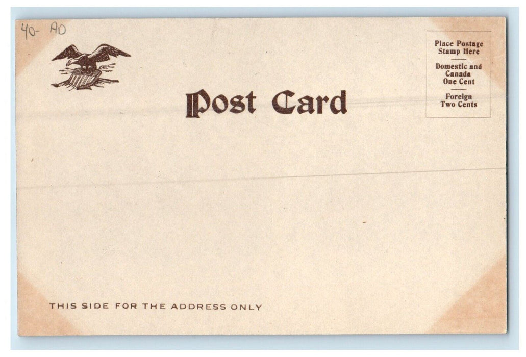c1905 The Old & New Capitol Mexican Monument Harrisburg PA Advertising Postcard