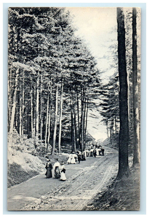 c1905 People Scene, "The Pines" Groveland Massachusetts MA Postcard
