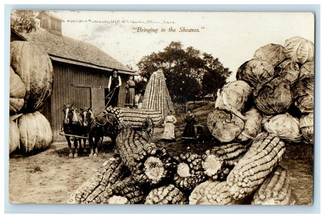 c1910's Exaggerated Corn Cabbage Pumpkins Blooming Prarie MN RPPC Photo Postcard