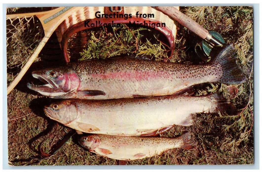 1960 Greetings From Kalkaska Michigan MI, Fishes Posted Vintage Postcard