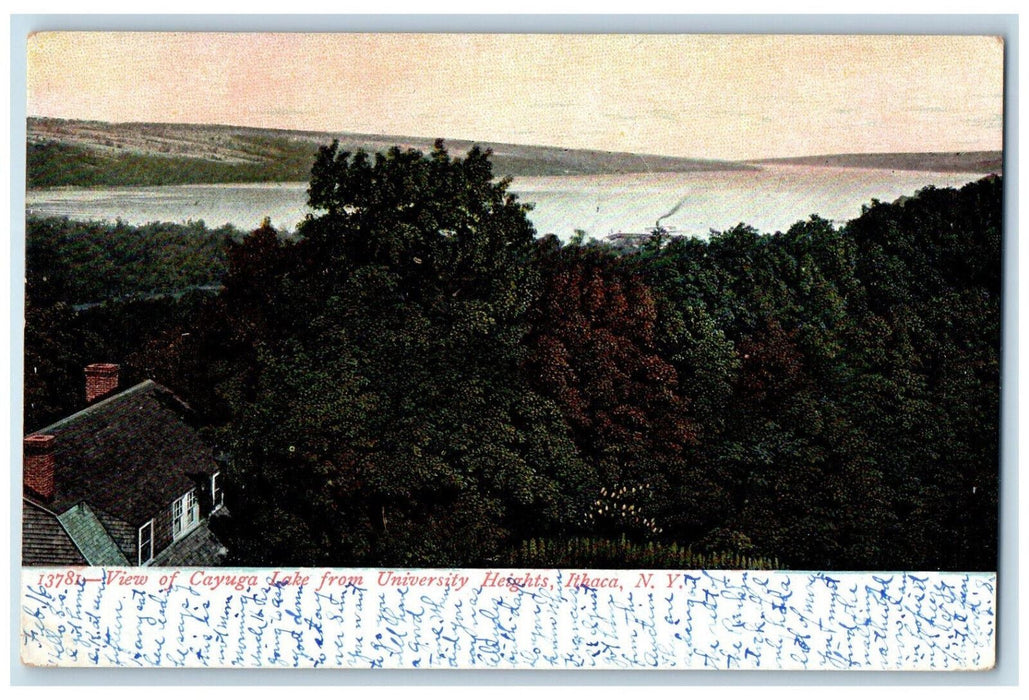 1910 View of Cayuga Lake from University Heights Ithaca New York NY Postcard