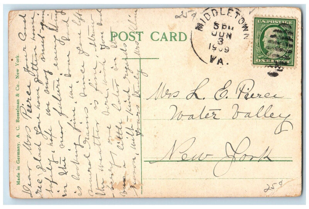 1909 View Of Rouss Spring Winchester Virginia VA Posted Antique Postcard