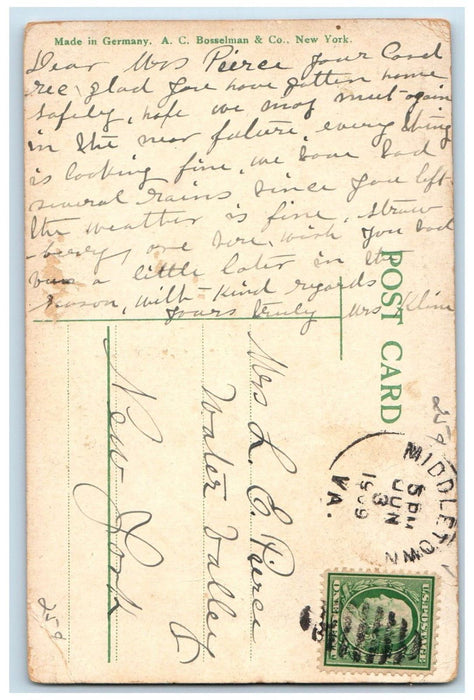 1909 View Of Rouss Spring Winchester Virginia VA Posted Antique Postcard