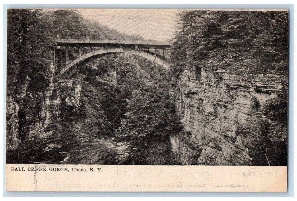 c1905 Fall Creek Gorge Ithaca New York NY Cornell University Series Postcard