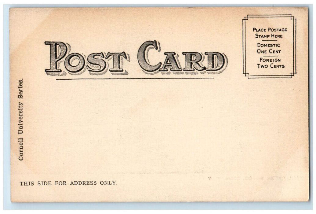 c1905 Fall Creek Gorge Ithaca New York NY Cornell University Series Postcard