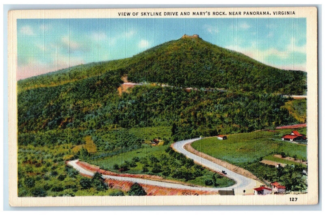 View Of Skyline Drive And Mary's Rock Near Panorama Virginia VA Antique Postcard