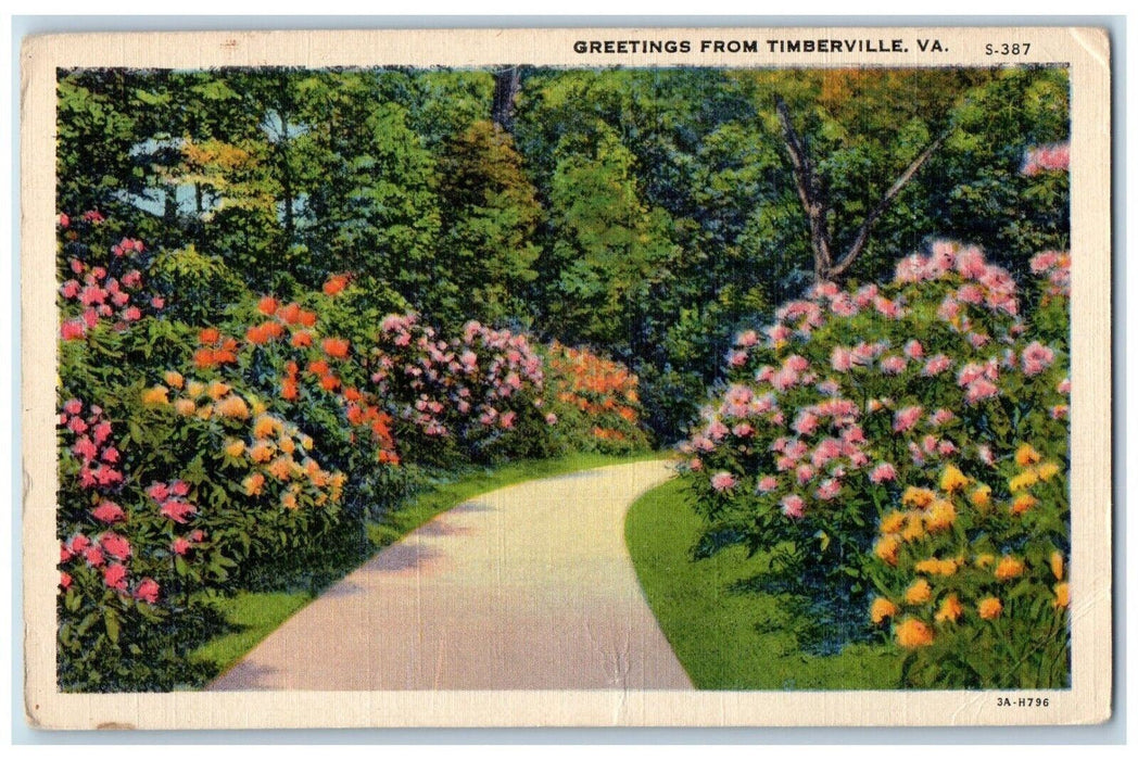 c1930's Greetings From Timberville Virginia VA, Road Flowers Vintage Postcard