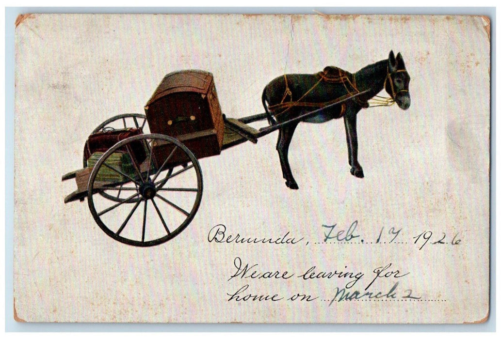 1910 Bermuda We Leaving For Home Donkey Carriage Chest Box Brooklyn NY Postcard