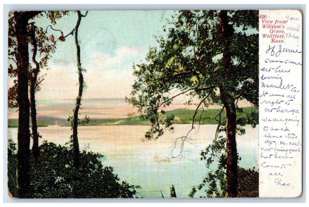 c1905 View From Williams Grove River Lake Trees Wellfleet Massachusetts Postcard
