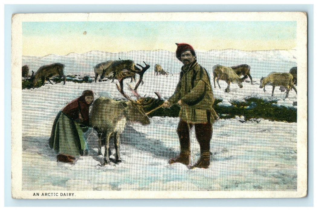 1913 A Man and Child Holding Reindeer, An Artic Dairy Unposted Postcard