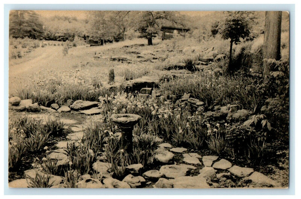 c1910 View Of East Rock Garden Bird Bath Saratoga Springs New York NY Postcard