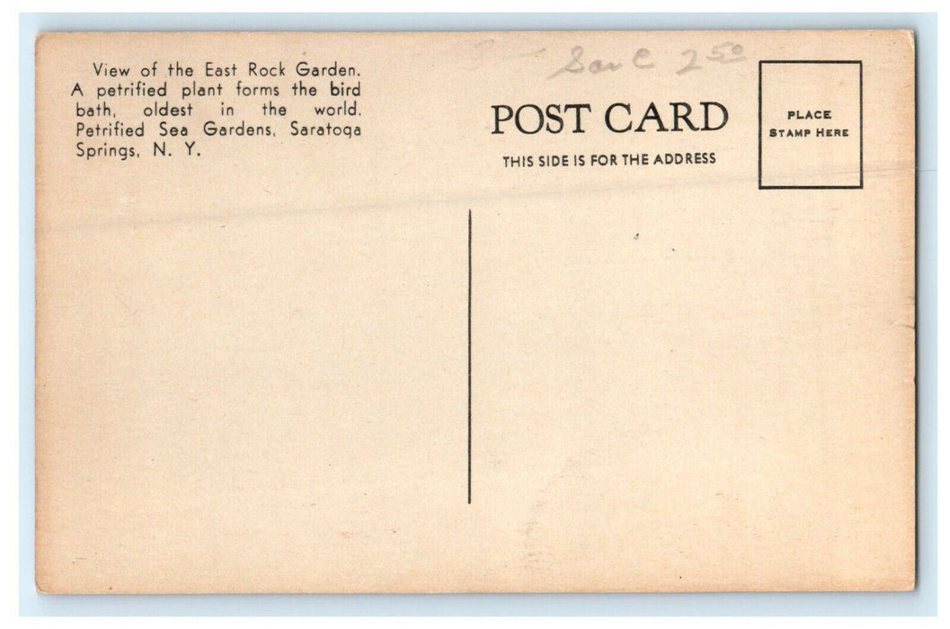 c1910 View Of East Rock Garden Bird Bath Saratoga Springs New York NY Postcard