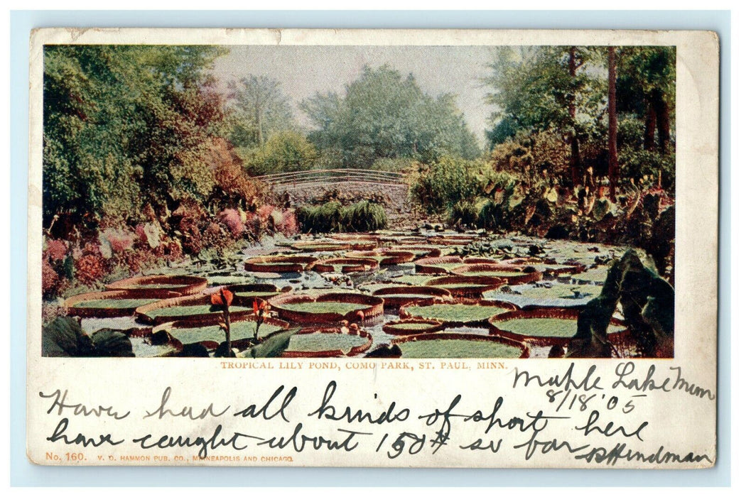 1905 Tropical Lily Pond, St. Paul Minnesota MN Received Posted Postcard