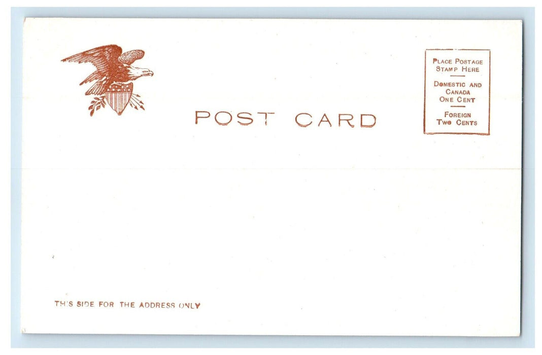 c1905 Peoples Bridge Harrisburg Pennsylvania PA Unposted Antique Postcard