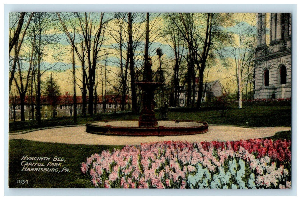 c1910's Hyacinth Bed Capitol Park Harrisburg Pennsylvania PA Antique Postcard
