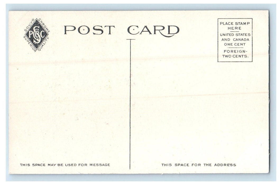 c1910's Hyacinth Bed Capitol Park Harrisburg Pennsylvania PA Antique Postcard
