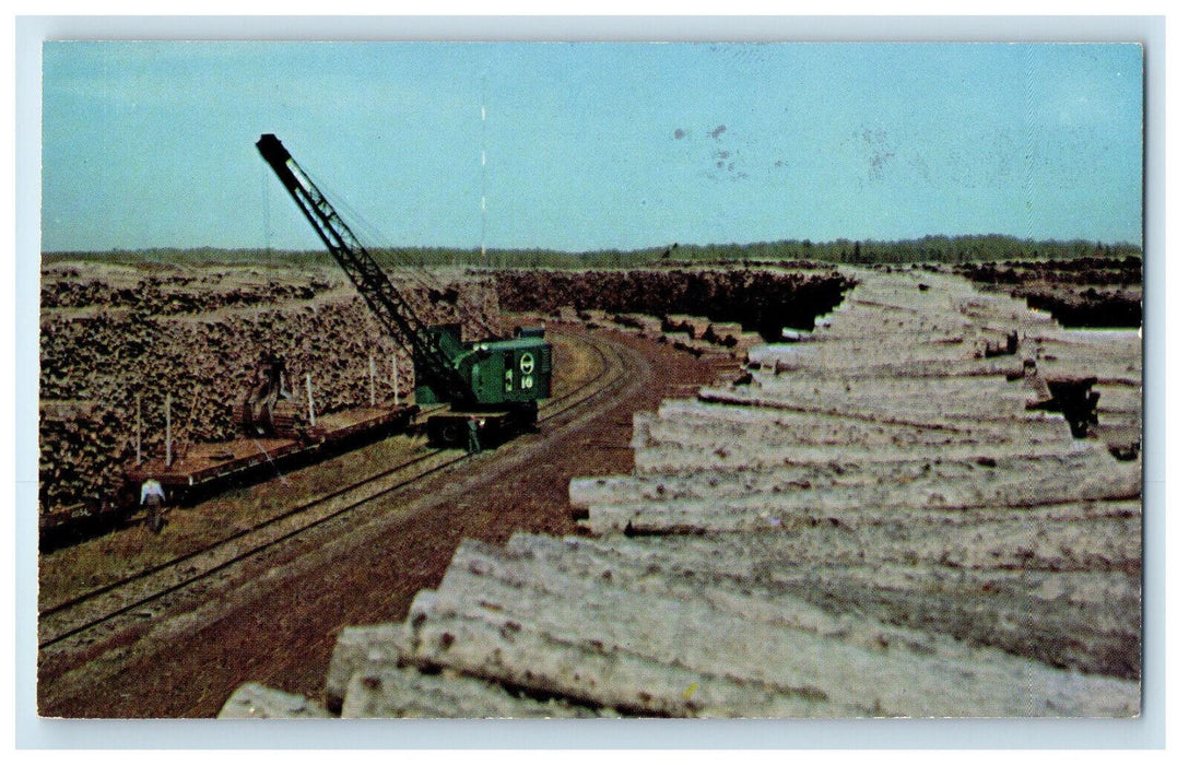 c1950s Pulp Wood Stock in Northern Minnesota MN Unposted Vintage Postcard