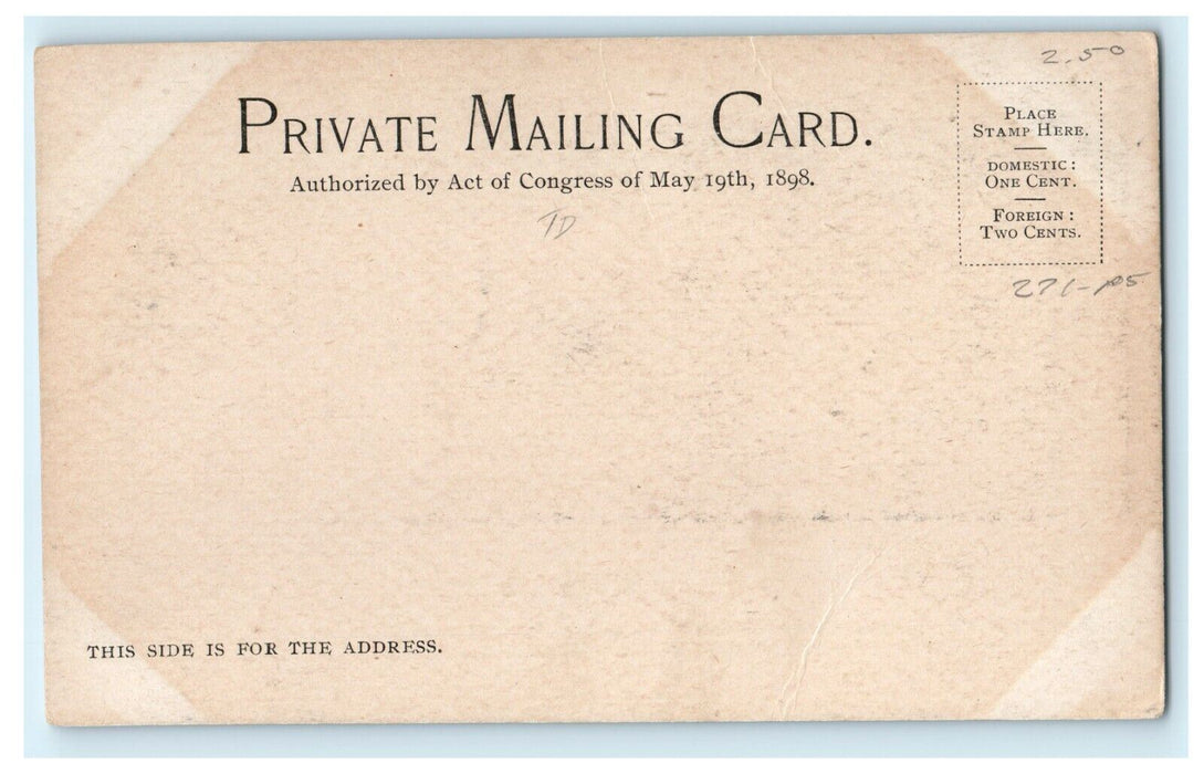 1901 Wallace Library, Fitchburg, Massachusetts MA Unposted Postcard